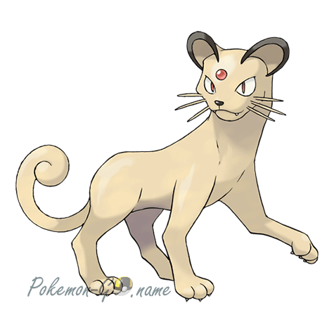 053 - Персиан (Persian)