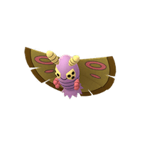 Dustox