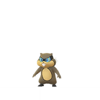 Patrat