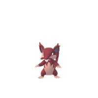 Rattata