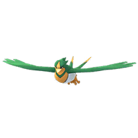 Swellow