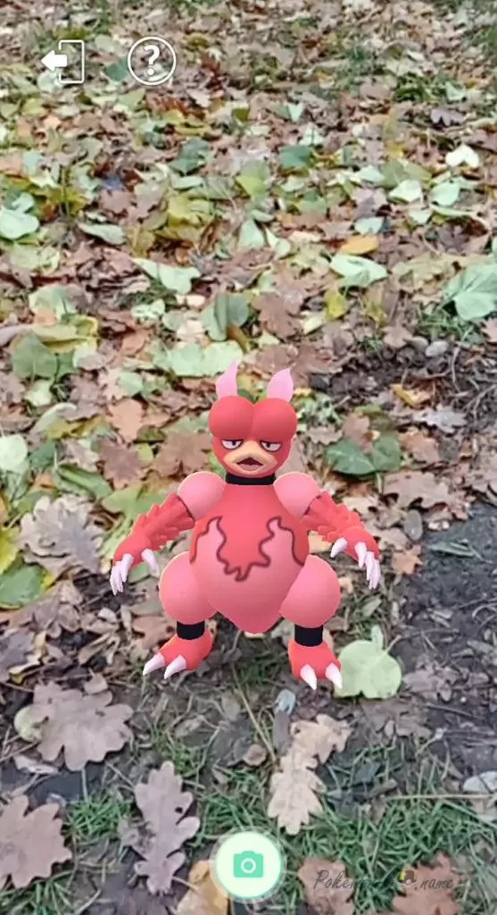 Foto van Pokemon in de echte wereld