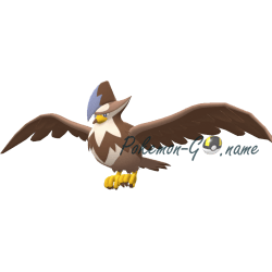 Staraptor