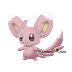 Minccino