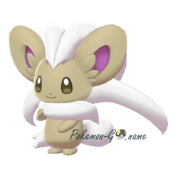 Cinccino