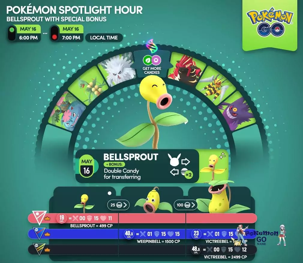 Час спавна Покемона Bellsprout 16 мая 2023