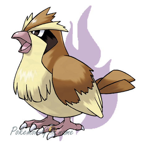 016 - Pidgey Shadow