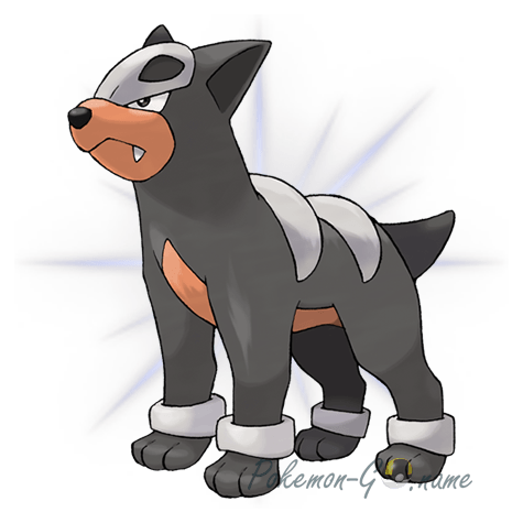 228 - Houndour Purified