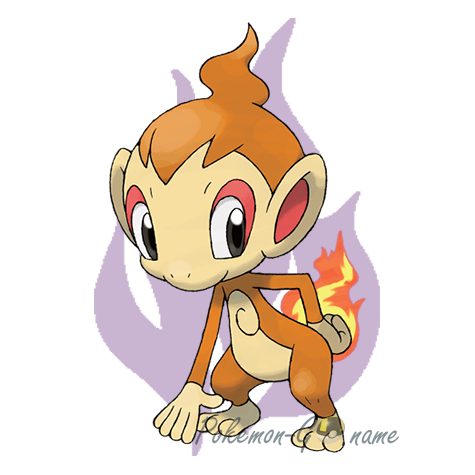 390 - Chimchar Shadow