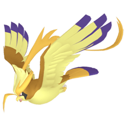 Mega Pidgeot Shiny