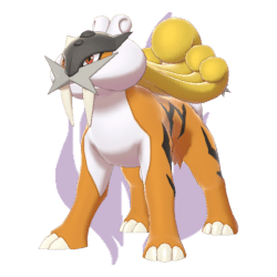 Raikou Shadow Shiny - Pokemon #0243