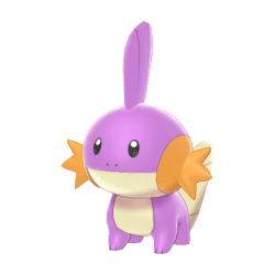 Mudkip Shiny