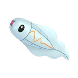 Tynamo Shiny