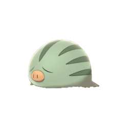 Swinub Shiny