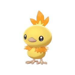 Torchic Shiny