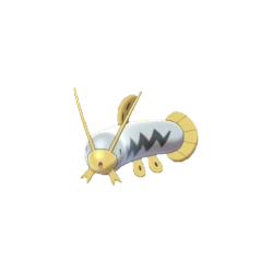 Barboach Shiny
