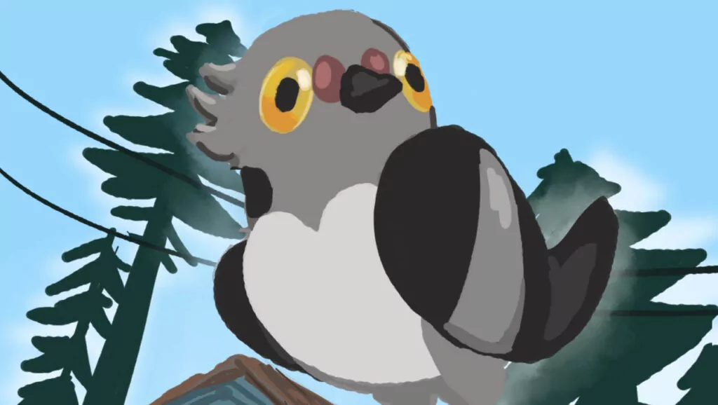 Pidove