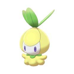 Petilil Shiny