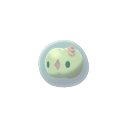 Solosis Shiny