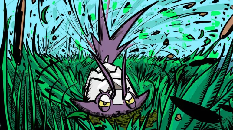 Wimpod