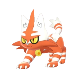Torracat Shiny