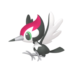 Pikipek Shiny