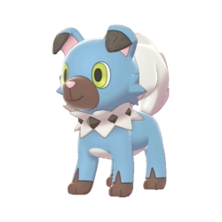 Rockruff Shiny