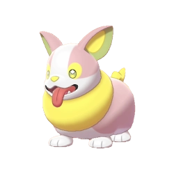 Yamper Shiny