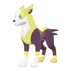Boltund Shiny