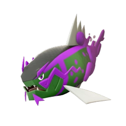 Basculegion Shiny