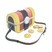 Coin Bag