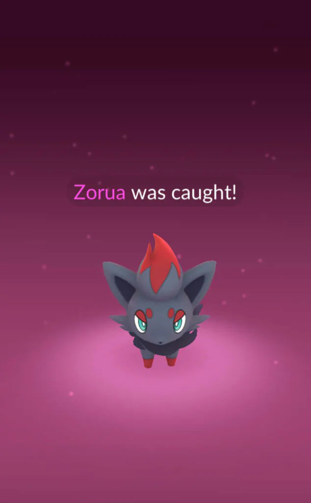 Zorua