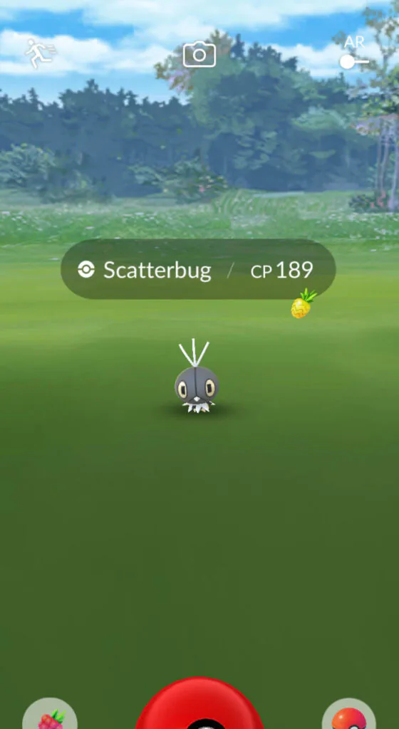 Scatterbug