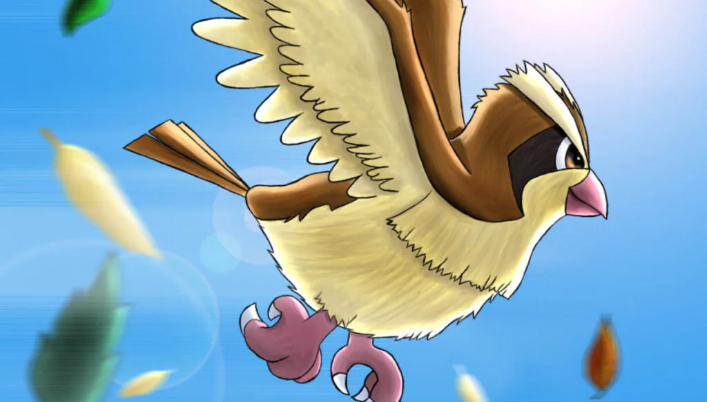 Pidgey