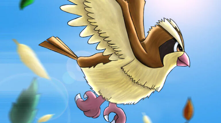Pidgey